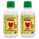 ChildLife Essentials Tekoči kalcij dodatek za otroke - Baby Calcium z magnezijem, cink, in vitamin D3 - Orange Flavor, 16 fl oz (2 pakiranje)