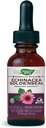Nature's Way Premium Formula Echinacea- Goldenseal, 250 mg na odmerek, 99,9% Alkohol-free, 1,01 Oz.
