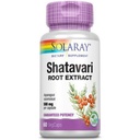 SOLARAY Zajamčena Potence Shatavari Root Extract, Veg Cap (Btl-Plastic) 500mg 