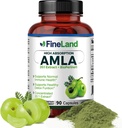 FineLand Amla (Indian Gooseberry) 20X Izvleček polnega spektra – 30,600mg Ekvivalent na serviranje z BioPerine® za absorpcijo, bogata z naravnim vitaminom C, Imuno & Prebavna podpora – 90 Veganskih kapsul
