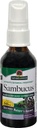 Naravoslovni odgovor Sambucus Sirup Extract Spray 2 Fluid Ounces 