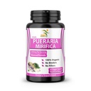 Pure Pueraria Mirifica Dodatek 500mg Root Extract Prašek, uvožen iz Tajske - spodbuja zdravje žensk, organsko naravno zelišče, 60 Veggie kapsule