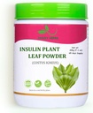 JAGGY Leaf v prahu (Costus Igneus) 200g (7,1 oz) naravna insulinska rastlina v prahu (na zalogi 65 dni)