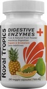 Royal Tropics Prebavne Enzyme dodatki - Vegetarian Formula z zeleno Papaya Dodaj Bromelain Acid Reducer za popolno Gut zdravje Veggie 90 Kapsule 500 mg