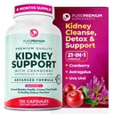 PurePremium Ledvice Supplement – Ledvice Cleanse Detox in Popravila z brusnice Extract & Astragalus - 21-v-1 Complex Podpora Normalen Bladder, Sein Tract & Ledvice Zdravje - 120 dan