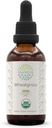 HerberEra Wheatgrass B60 USDA Organic Tinkture 