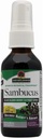 Narave odgovarjajo Sambucus Spray