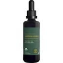 Globalni center za zdravljenje - Organic Ashwagandha dodatki kapljice - KSM-66 Ashwagandha Dodatna moč za moške in ženske, Pomaga spodbujati Reševanje stresa, Mood podpora, Organic (2 Fl Oz)