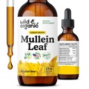 Wild & Organic Mullein kapljice za pljuča - Lung Detox in čiščenje - Liquid Mullein Leaf Tinkture z Echinacea & Licorice Root - Vegan, Sugar & Alkohol-free Extract dodatek - 2 fl oz