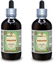 Organski sassafras (Sassafras Albidum) glicerit, posušeni listi brez alkohola tekoči ekstrakt (Brand Name: HerbalTerra, Proudly Made in USA) 2x4 fl.oz (2x120 ml)