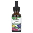 Narava?s Odgovor Lobelia Herb Lobelia Inflata - Naravni zeliščni dodatek - Gluten Alkohol-free - Idealno za Immunity splošno zdravje Dobro počutje ? 690mcg (1 FL Oz)