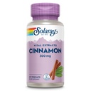 SOLARAY Cinnamon Extract 300mg - Cimet dodatki za ravnotežje - Zeliščna podpora z 24mg Flavonoidi - Lab preverjeno, Gluten brezplačno, 60-dnevno garancijo - 60 Serving, 60 VegCaps