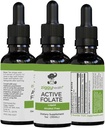 Active Folate Pure Liquid Extract dodatek - L-metilfolat za boljšo absorpcijo, zdravje možganov, izboljšanje celične funkcije, podpora imunski sistem, voda topen B kompleks, 1oz - z Ziggy zdravje