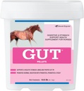 GutTM Pelleti 