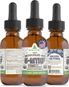 RawGuru L-metilfolat 15 mg + vitamin B12 - organski veganski metiliran B12 s sledljivimi minerali - nanopredeljena in izboljšana tekoča formula - 300 servingov Veganske kapljice na 30 ml, pakiranje po 1