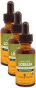 Herb Pharm Certified Organic Lobelia Tekoči ekstrakt za podporo mišično-skeletnemu sistemu - 1 Ounce (DLOBEL01) (paket s 3)