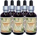 Queen's Root (Stillingia Sylvatica) Tinktura, posušene korenine tekoči ekstrakt (Brand Name: HerbalTerra, Proudly Made in USA) 5x2 fl.oz (5x60 ml)