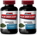 Čista zelena superhrana iz Klamath Lake za spodbujanje bolj zdrave in mlajše kože - modra zelena Algae 500mg, modra zelena Algae kapsule, modra zelena spirulina, spirulina, klorella - 2B 120 Cap