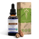 Skrivnosti Tribe Wild Yam Alkohol-free USDA Organic Tincture (Glycerite) 695 mg Odgovorno gojeni divji Yam (Dioscore Villosa) Posušena korenina (2 Fl Oz) Hormone podpora dodatek
