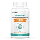 Orgabay Liposomal NAD+ Dodatek 500 mg, visoka absorpcija, povečanje NAD+ s TMG 250 mg, Dejanska NAD Plus bolj učinkovito kot nikotinamid ribozid, podpora celična energija, zdravo staranje 