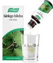 A. Vogel Ginkgo Biloba kapljice