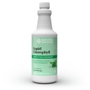 Narava Sunshine Tekoči klorofil - Immuniteta Podpora, Detox & Cleanse, Klorofil Tekoči kapljice s spearmint oljem, Naravna energija Boost, notranji deodorant - 16 Fl Oz