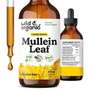 Wild & Organic Mullein Tinkture - Lung Cleanse and Detox - Liquid Mullein Leaf Extract za pljuča z Echinacea - Verbascum Thapsus kapljice - Vegan, Sugar & Alkohol-free dodatek - 4 fl oz