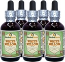 Bela vrba (Salix Alba) Glicerit, Tekoči ekstrakt organsko sušenega čokoladnega čokoladice (Brand name: HerbalTerra, Ponosno izdelan v ZDA) 5x2 fl.oz (5x60 ml)