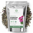 Organski Echinacea Purpurea 4 oz. (113g), USDA Certified Suhi Echinacea čaj, Premium Quality Herb, Purple Coneflower, cut & Sifted