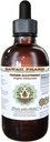 Kitajski Goldthread Alkohol-free Liquid Extract, kitajski Goldthread (Coptis Chinensis) Suhi koren Glicerit Havaji Pharm naravni zeliščni dodatek 2oz