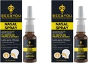Čebela in vi Natural Propolis Nazal Spray 1 Fl oz 