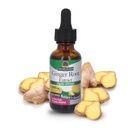 Narava odgovor Ginger Root Extract dodatek z organskim alkoholom 1 Fluid Ounce 