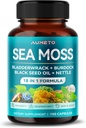 Premium Sea Moss dodatek s črnim oljem, Ashwagandha, Bladderwrack, Nettle- Advanced 18-v-1 Formula za povečanje imunitete, Mineral-Rich - Izdelano v ZDA (150 Count (Pack of 1))