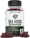 Irish Sea Moss Gummies - 3000MG - Formulirani w/ Irish Sea Moss, Bladderwrack & Burdock Root, vsebujejo bistvene vitamine in minerale - Antioksidant-Rich Superfood dodatek, 60 Sea Moss Gummies za odrasle