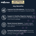 Gut Health Probiotic & Prebiotic - 90ct Support Stomach Microbiome, Preprečevanje prebavnih težav, zmanjšanje analnih glandnih vprašanj, izboljšanje imunske funkcije in splošno energijo