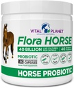 Vital Planet - Probiotik za konje Flora, Probiotiki za konje visoke moči Equine s prebiotiki, 40 milijard živih CFU iz več sevov, prebavna in imunske podpore, 180 zapoznelih release kapsule (180 dni)