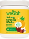 Wellah So Long Soreness BCAA prašek (Pina Colada aromated) 30 Serving - s hidracijskim kompleksom