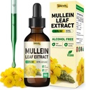 Mulleinske kapljice za pljuča Dopolnilo: Organic Mullein Leaf 30:1 Ekstrakt Tinktura s klorofilom - Herbal Supplement Support Lung Cleanse & Respiration Function - Non-GMO, Vegan - 2 Fl Oz