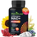 NAD+ dodatek - 500mg čistega NAD Plus za energijo, fokus, kožo in anti-Aging podpora - Gluten brezplačno Ne-GMO NAD dodatki za ženske in moške (60 Cock (Pack of 1), NAD+ Resveratrol)