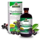 Odgovor Nature's Sambucus Elder Berry Extract Syrup 8 Ounce ( 3 Pack ) 