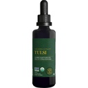 Globalni center za zdravljenje - Organski Tulsi (Sveti Basil Leaf Extract) Veganske kapljice s tekočimi dodatki (Organic Basil) - Biološko na voljo Herb za normalen odziv na stres, naravna energija in imunske podpore