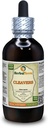 Cleavers (Galium Aparine) Tinktura, organsko sušeni zgornji deli tekoči ekstrakt (Brand Name: HerbalTerra, Proudly Made in USA) 4 fl.oz (120 ml)
