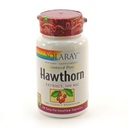 SOLARAY Hawthorn Extract 100mg 