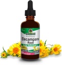 Naraven odgovor Elecampane Root 2 oz. Nizki organski alkohol 2000mg - Zeliščni dodatek - Non GSO & Kosher - Nizki alkohol Gluten Free 100% Vegan - 2 FL Oz