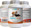 probiotiki za pse žvečljivi - Dog PROBIOTICS - slaba raztopina za dihanje in prehajanje plina - ustno zdravje - fos Formula - 1 steklenica (60 zdravil)
