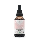 Sting Nettle Leaf USDA Ekološki alkohol-free Extract 