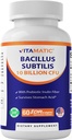Vitamatski Bacillus Subtilis 10 milijard na DR kapsulo - 60 Count - Prebavna, Gut & Imunska zdravstvena podpora - izdelan s prebiotično Inulin Fiber