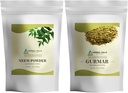 HERBAL HILLS Neem Leaf Powder in Gurmar Powder Gymnema Sylvestre Pack po 2 Combo