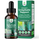 Certified Organic Lymphatic Drainage Drops - Herbal Lymphatic Cleanse in Imunska podpora dodatek z Echinacea Goldenseal & Red Clover Extract - Vegan Non GSO Alkohol in sladkor brez - 30 Serving