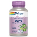 SOLARAY Olive 250mg - Olive Leaf Extract kapsule z 22% Oleuropein, Plus limonin balzam - Polifenoli dopolnilo za podporo Wellness - Vegan, 60-dnevno jamstvo, Laboratorij preverjen - 120 Serving, 120 VegCaps